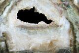 Triassic Petrified Wood (Woodworthia) Round - Zimbabwe #167956-1